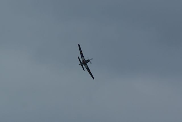 Tucano - progressive training DSC06313.JPG