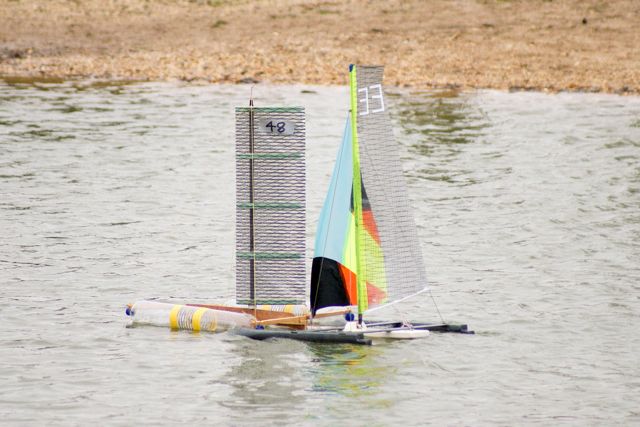 DSC03318 © Peter Taylor 2011