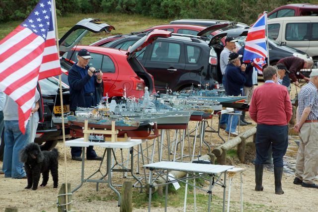 DSC05733 © Peter Taylor 2014