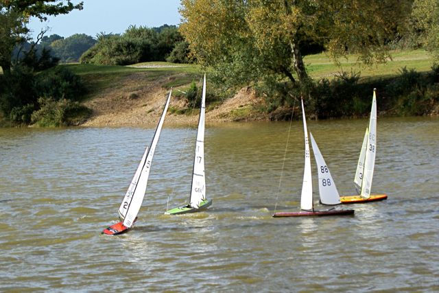 DSC07178 © Peter Taylor 2008