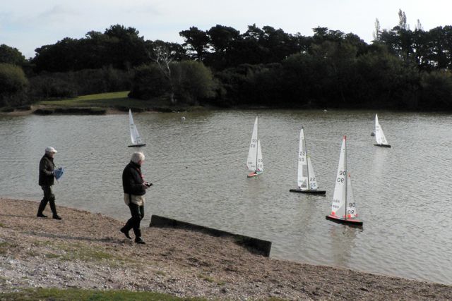 P1060563 © Peter Taylor 2008