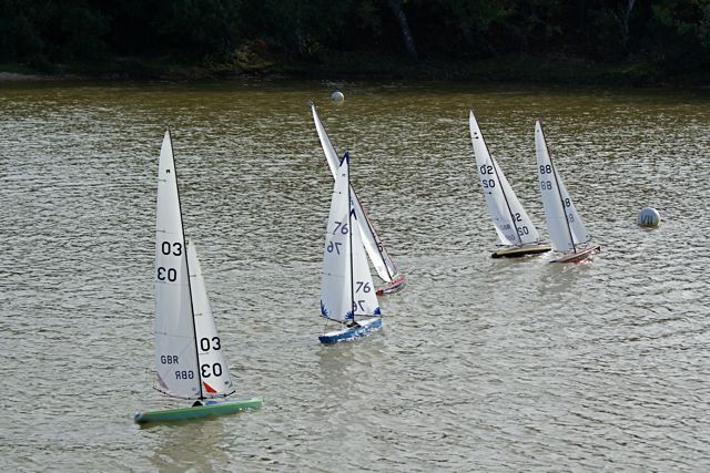 DSC07132 © Peter Taylor 2008