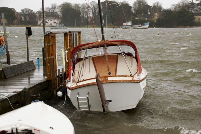 DSC04838 © Peter Taylor 2013