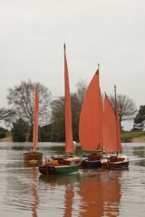 DSC06368  © Peter Taylor 2015