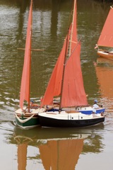 DSC06353  © Peter Taylor 2015