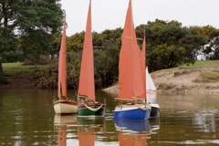 DSC06363  © Peter Taylor 2015