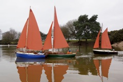 DSC06366  © Peter Taylor 2015