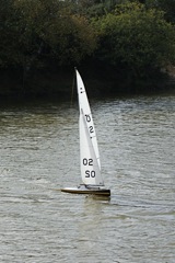RM 02 (2) DSC07158.JPG