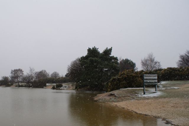 5/3/2009 DSC00288.JPG